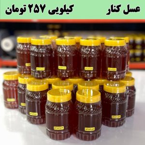 عسل کنار قیمت عمده