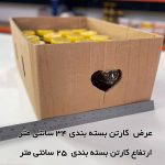 عسل آویشن کوهی (5 تا یک کیلویی) - Image 4