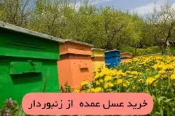 خرید عسل عمده