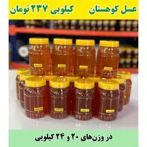 خرید عمده عسل کوهستان