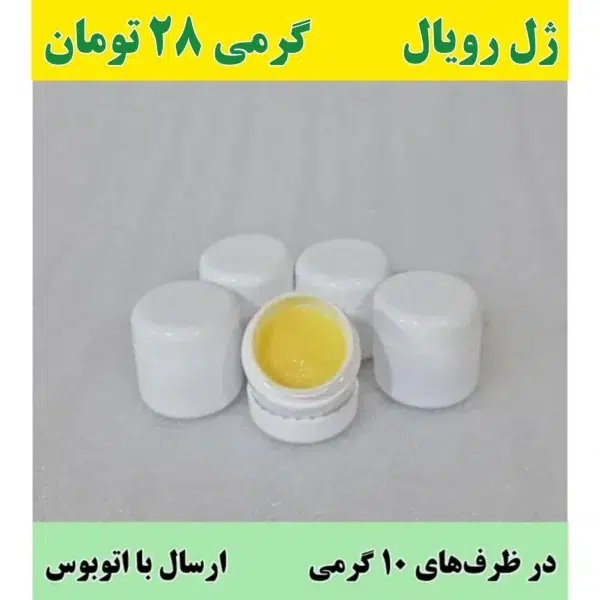 خرید ژل رویال در ظرف 10 گرمی