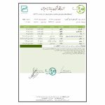 عسل گشنیز عمده (ظرف حلب) - Image 2