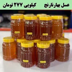 خرید عمده عسل بهارنارنج