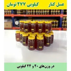 خرید عمده عسل کنار