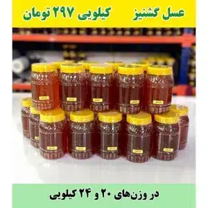 خرید عمده عسل گشنیز