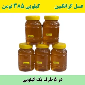 خرید عمده عسل گزانگبین