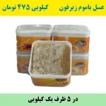 خرید عمده عسل باموم زیرفون جنگلی