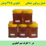 خرید عمده عسل زیرفون جنگلی
