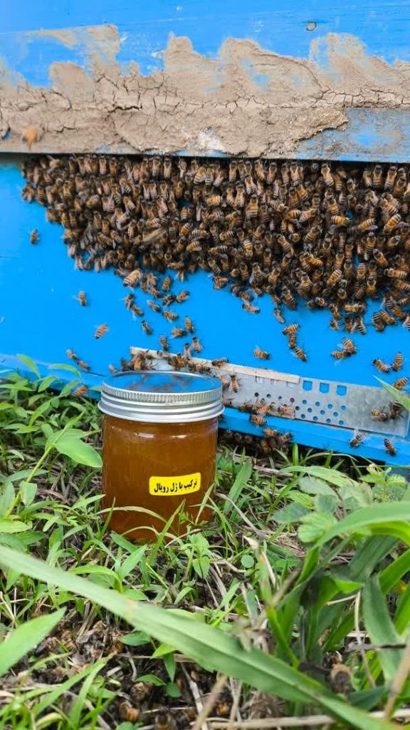 معجون ژل رویال ترکیب با عسل گزانگبین