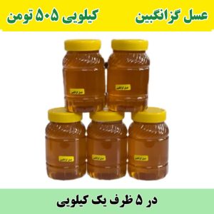 خرید عسل عمده گزانگبین