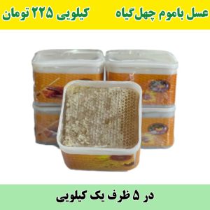 خرید عمده عسل با موم