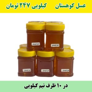خرید عمده عسل کوهستان