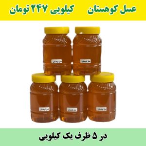 خرید عمده عسل کوهستان