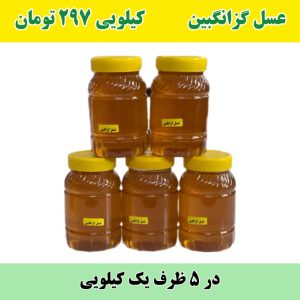 خرید عمده عسل گزانگبین