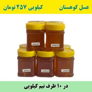 خرید عمده عسل کوهستان نیم کیلویی