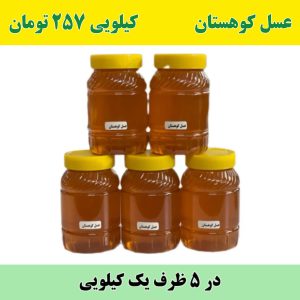 خرید عمده عسل کوهستان یک کیلویی