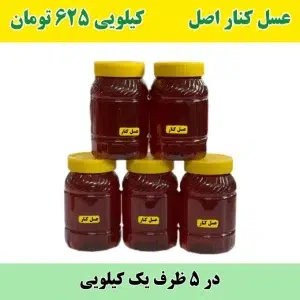 خرید عمده عسل کنار طبیعی