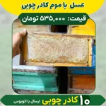 عسل شان (10 کادر چوبی) ارسال فقط با اتوبوس