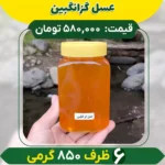 عسل گزانگبین (6 ظرف 850 گرمی)