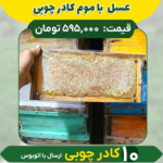 عسل شان (10 کادر چوبی) ارسال فقط با اتوبوس