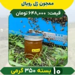 معجون ژل رویال 350 گرمی (10تایی)