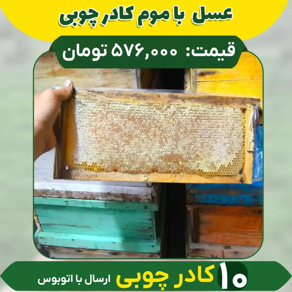 خرید عسل باموم شان
