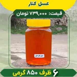 خرید عمده عسل کنار اصل