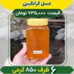 عسل گزانگبین (6 ظرف 850 گرمی)
