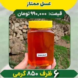 عسل ممتاز کوهدار (6 ظرف 850 گرمی)