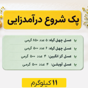 پک شروع درآمدزایی