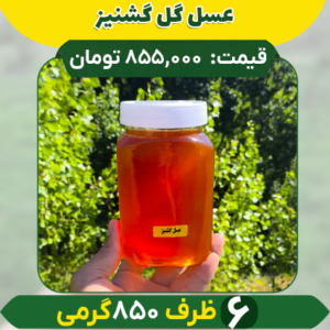 عسل گل گشنیز (6 ظرف 850 گرمی)