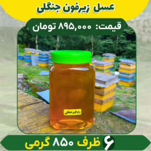 خرید عمده عسل زیرفون جنگلی