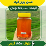 عسل چهل گیاه (6 ظرف 850 گرمی)